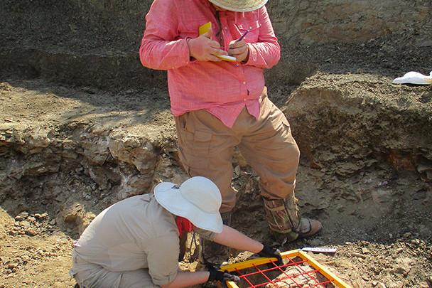 <a href='http://1w.wjc7.com/'>bv伟德ios下载</a>学生在麦卡尔哈尼采石场测绘三角龙骨骼.